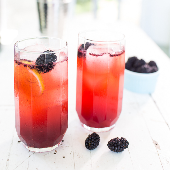 Blackberry Fence Hopper